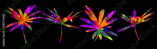 A set of multicolored rainbow flowers. Vector illustration