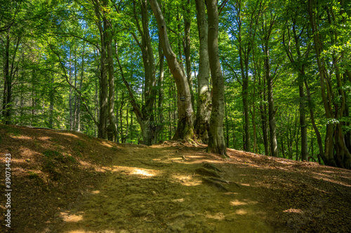 Fototapeta Naklejka Na Ścianę i Meble -  bieszczady przepiękny widok góry, koniec świata, natura raj na ziemi
