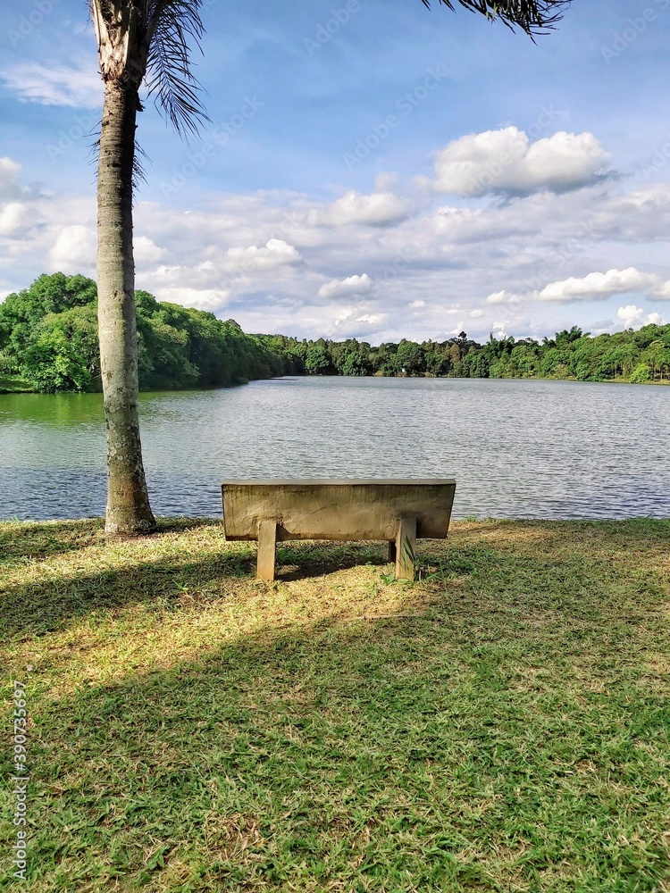 bench in the park. A vista do lago bench in the park. A vista do lago