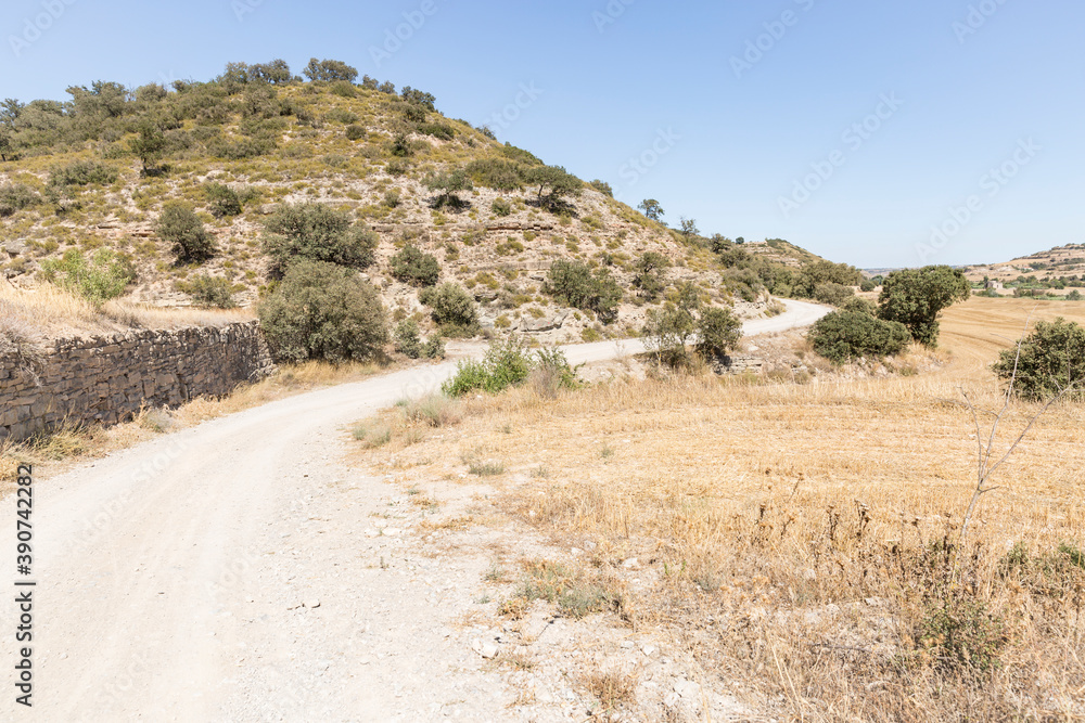dirt road on a summer landscape next to Cervera city, La Segarra, Province of Lleida, Catalonia, Spain