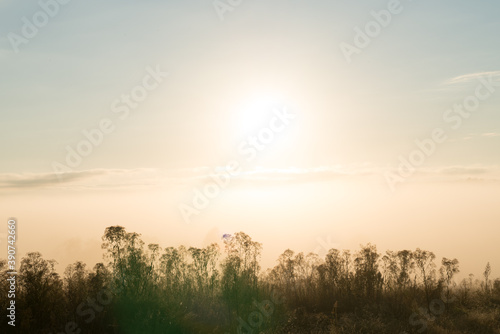 sunrise in the field © Lucas Baldissera