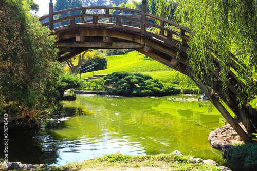 a gorgeous shot of a high arching wooden bridge over a deep green lake with lush green trees and green grass blue sky and clouds at Huntington Library and Botanical Gardens in San Marino California photo