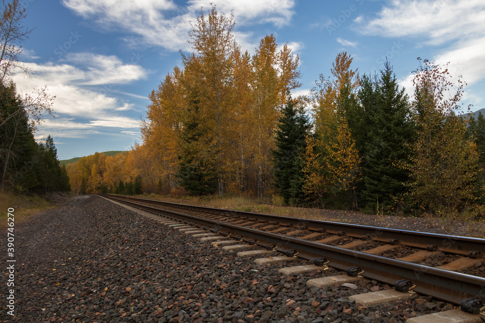 Obraz premium Railroad Tracks thru the Forest 