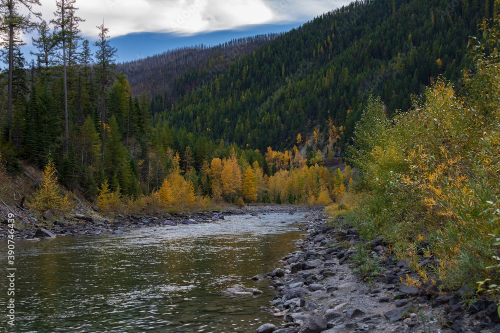 Middle Fork Flathead River flowing through forest, Montana Middle Fork Flathead River flowing through forest, Montana