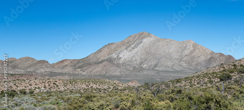 Fossil Peak is a 6486 foot high mountain summit in the Seaman Range in Basin and Range National Monument, Lincoln County, Nevada, USA photo