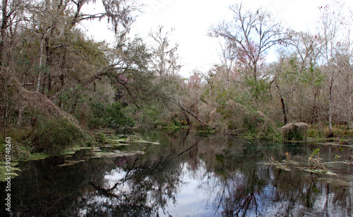 Florida's natural environment