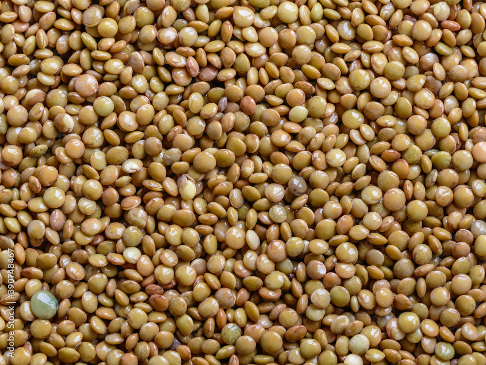 lentils seen from above filling the frame lentils seen from above filling the frame