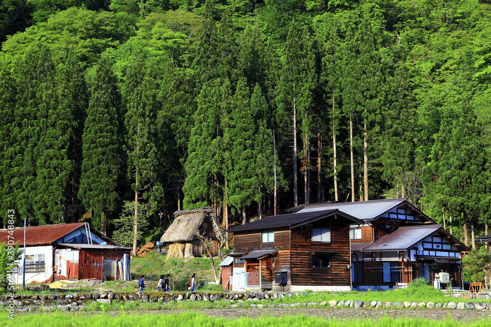 Obraz premium travel in Japan