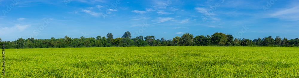Bright blue skies and verdant fields.
