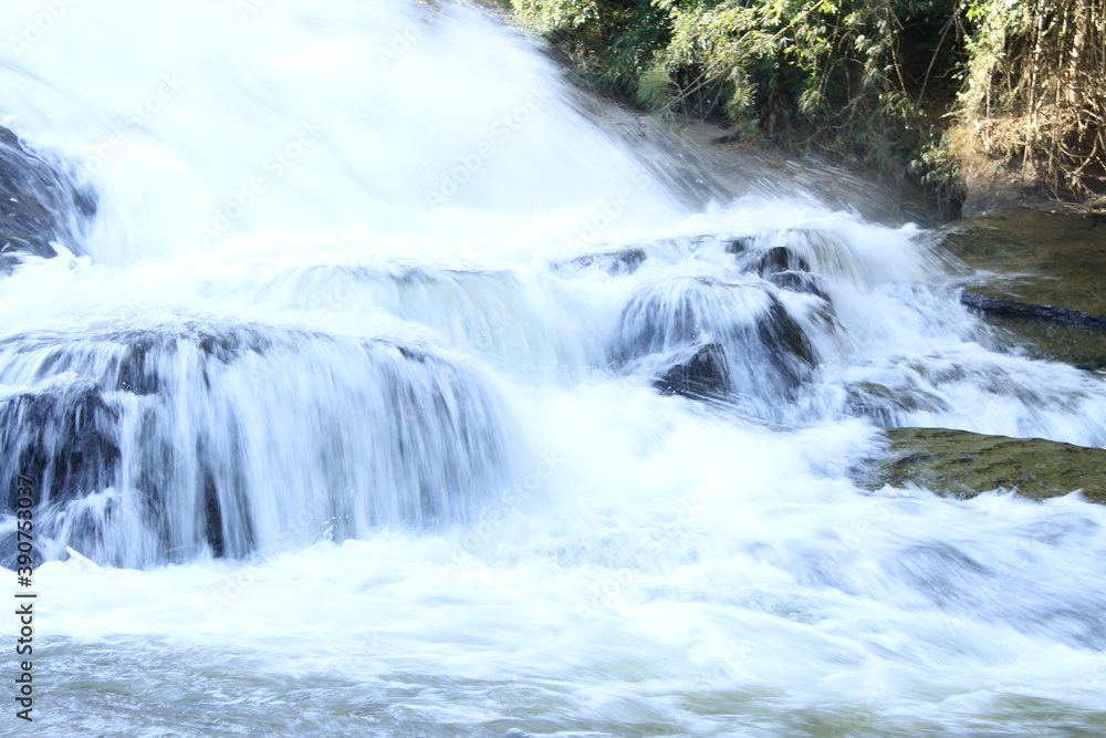 Fototapeta premium waterfall in the forest
