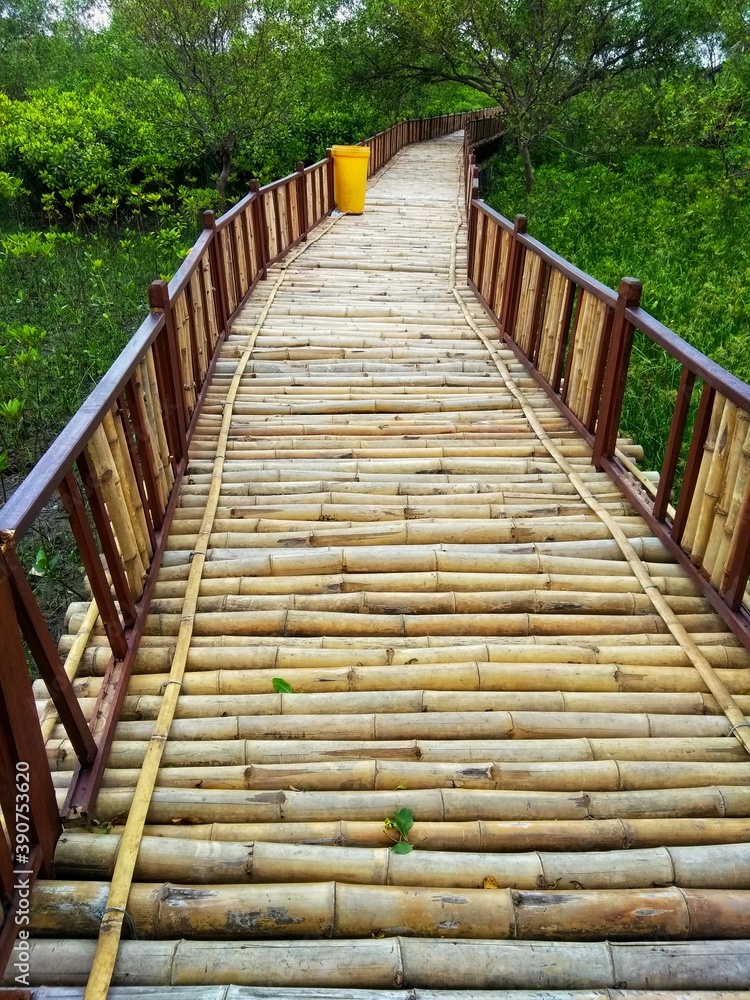 Wooden bamboo bridge with fresh green vegetation plantation in a conservation park focusing in the middle resemble a goal or path