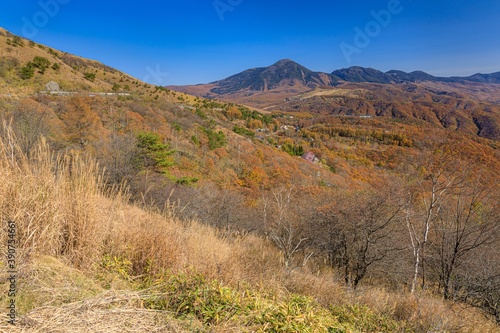 長野県・秋の車山高原の風景 1