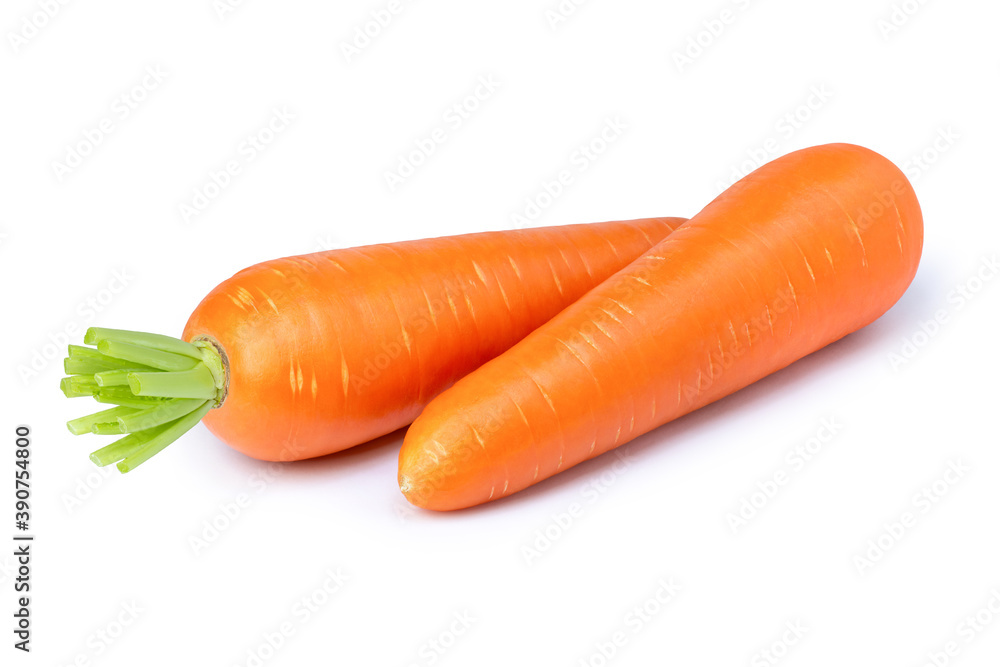 Fresh organic two carrots isolated on white background. Fresh organic two carrots isolated on white background.