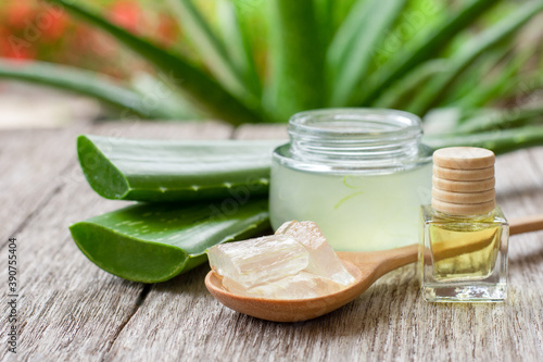 Aloe vera essential oil and aloevera gel with cactus green leaf on wood table background.
