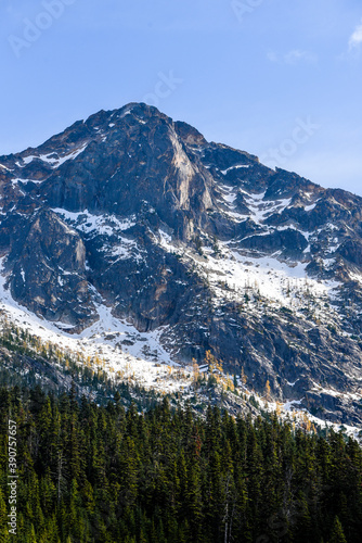 autumn larches in the cascades