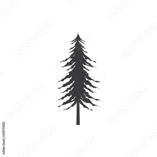 Cedar tree