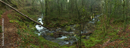 Old path running along the Fraga river in the community of Galicia photo