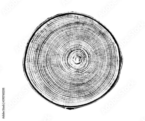 Black and white tree art wood from a trunk with growth rings isolated on white. Natural vintage wood texture.