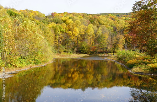 The striking colors of fall foliage by the river near Tunkhannock, Pennsylvania, U.S