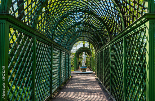 A garden tunnel in Summer Garden, St Petersburg, Russi. View through tunnel. The Summer Garden is located on an island between Fontanka, Moika and the Swan Canal in St. Petersburg, Russia.
