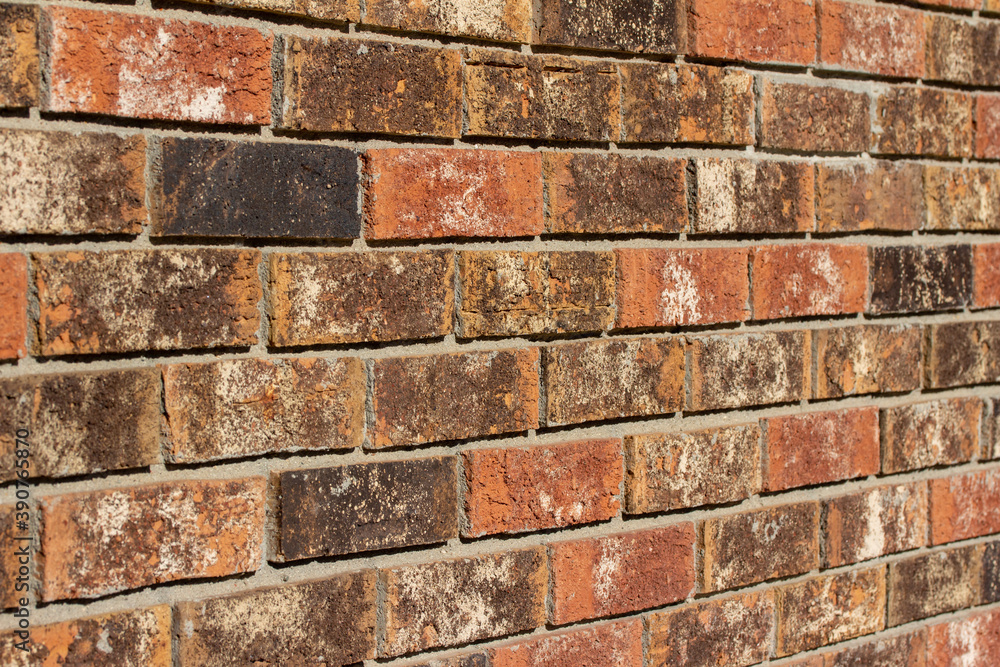 Full frame texture background of an exterior clay brick wall with textured bricks in beautiful fiery red, white and brown hues Full frame texture background of an exterior clay brick wall with textured bricks in beautiful fiery red, white and brown hues