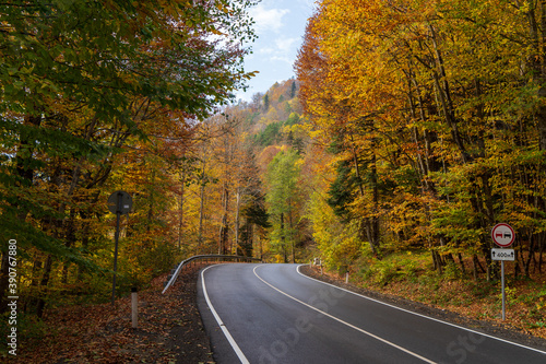 Asphalt road in the autumn forest.