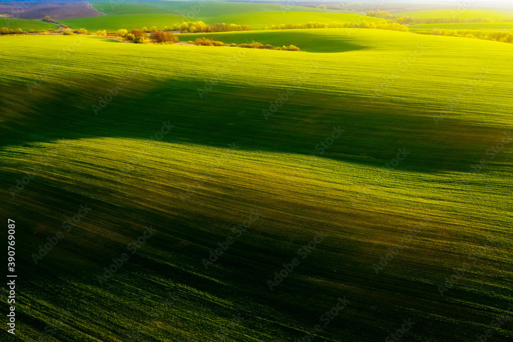 Aerial photography of green wavy field with shadows from sunlight in the evening.