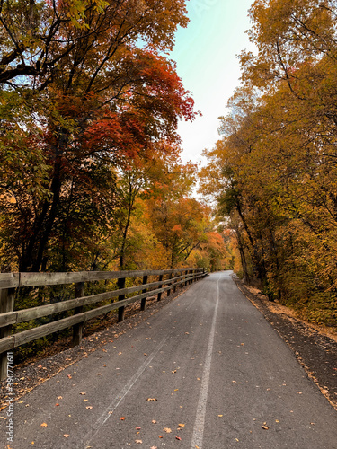 road in autumn