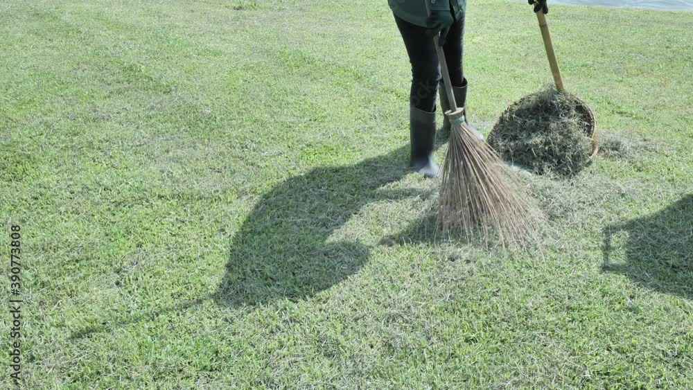 gardener use natural broom and dust pan to sweep grass leaves after