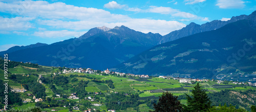 Panoramic view of the Val di Non at summer season. Scenic view of vineyards and apple tree garden in Trentino-Alto Adige region of South Tyrol, Italy. Beautiful small Alpine village on a background.