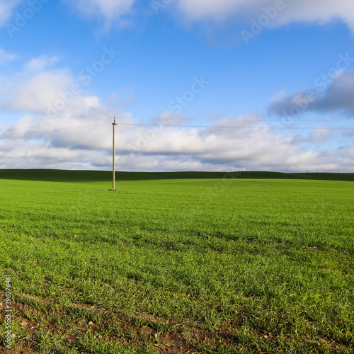 Green grass field on hills and blue sky with clouds in the countryside. Natural landscape