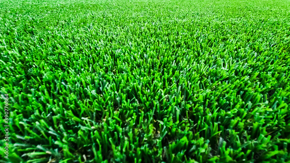 green grass background green grass background