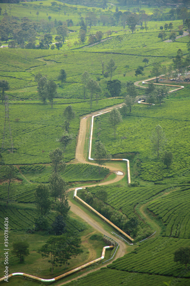 Beautiful scene of tea plantation at Wayang Windu Pangalengan, West Java Indonesia. Fresh green nature background