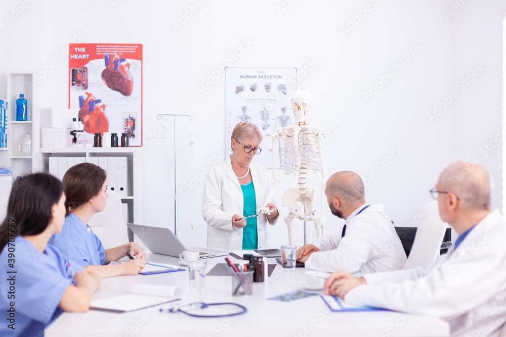 Medical scientins demonstrating on human skeleton model for team of physicians. Clinic expert therapist talking with colleagues about disease, medicine professional Medical scientins demonstrating on human skeleton model for team of physicians. Clinic expert therapist talking with colleagues about disease, medicine professional