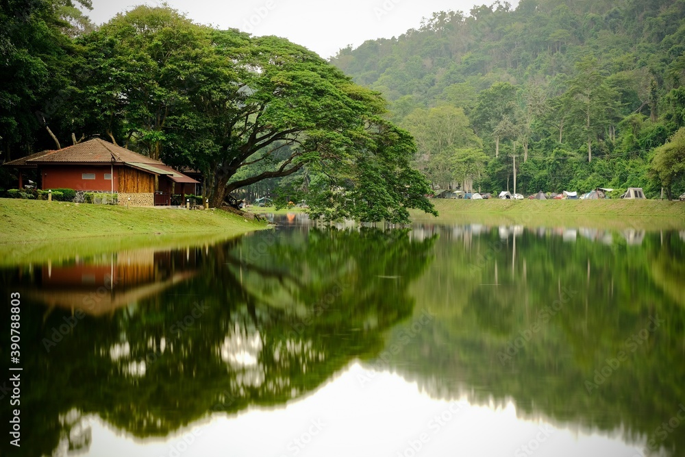 Fototapeta premium lake and camping in the nature.