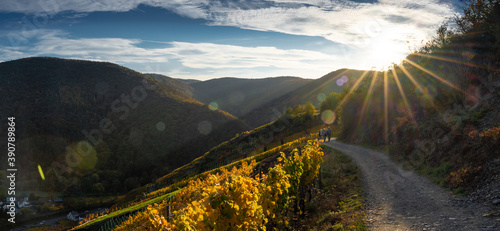Hiking in the Ahr valley on a sunny autumn day on the red wine trail