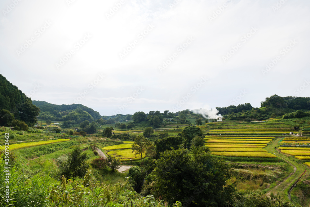 Obraz premium Autumn in Japan, a view of terraced rice fields in Asuka Village, Nara Prefecture