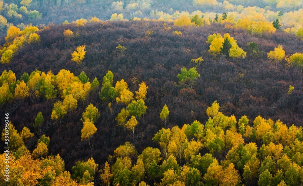 Aerial view on colorful forest in autumn in national park 