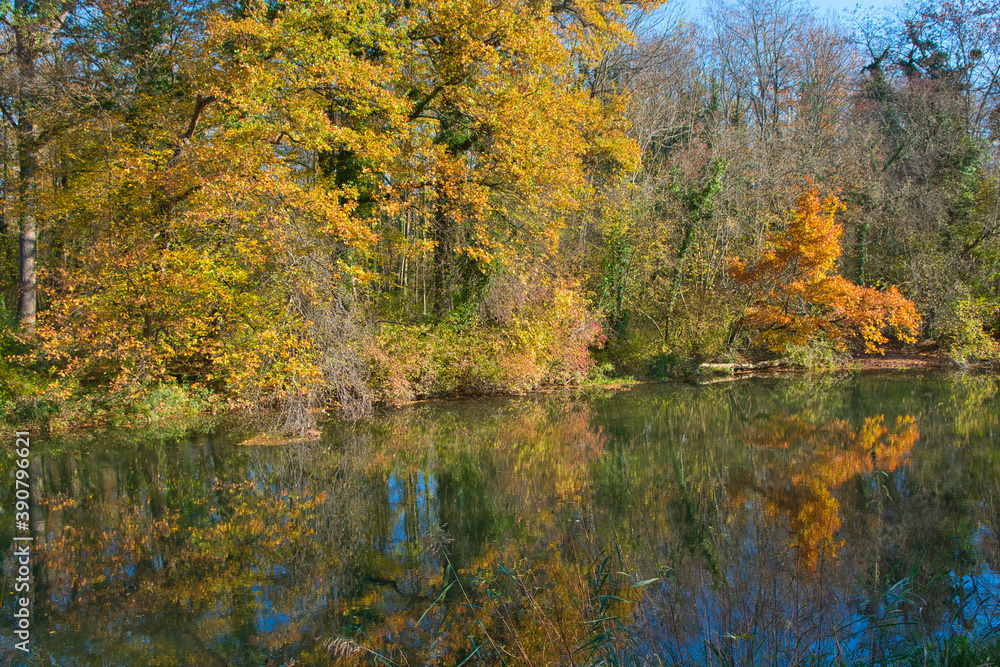 Spätherbst im Naturschutzgebiet Taubergiessen in der Ortenau Spätherbst im Naturschutzgebiet Taubergiessen in der Ortenau