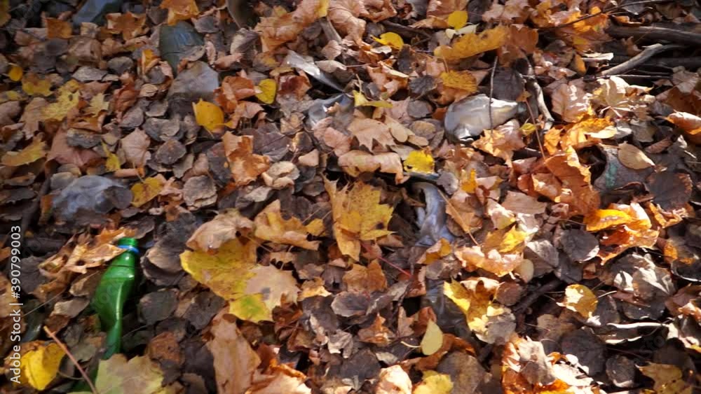 Garbage, plastic bags, plastic bottles lying on the grass, in nature, garbage and nature, nature pollution Garbage, plastic bags, plastic bottles lying on the grass, in nature, garbage and nature, nature pollution