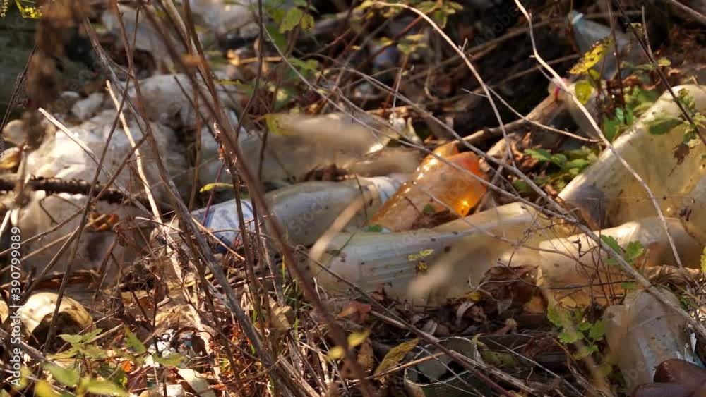 Plastic pollution of the forest and nature. Bottles, bags, and other plastic trash in the woods. Safe nature, global problem Plastic pollution of the forest and nature. Bottles, bags, and other plastic trash in the woods. Safe nature, global problem