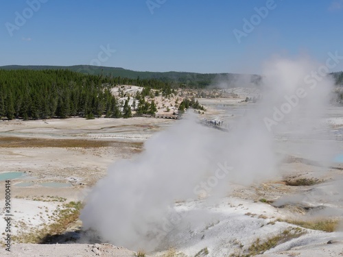 Close up of hot steam spewing out of the Black Growler Vent at the Norris Geyser, Yellowstone National Park.