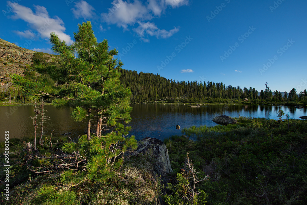 Russia. Krasnoyarsk territory, Eastern Sayans. Natural mountain Park 