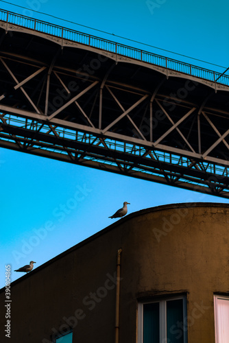 Early in the morning, Dom Luis Bridge at Porto, Portugal