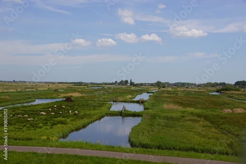 Dutch landscape
