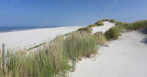 Fototapeta Naklejka Na Ścianę i Meble -  North sea beach, Ameland, Dutch.