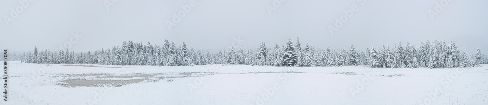 Fototapeta premium Snowing, Yellowstone National Park, Unesco World Heritage Site, Wyoming, Usa, America