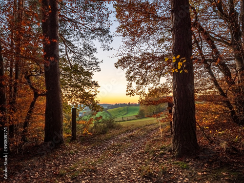 Golden Autumn Bavarian Forest walk to enjoy the golden colors photo