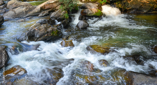 waterfall in the forest