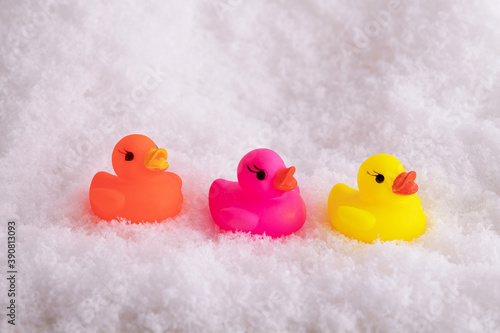 Fotografie Closeup of colorful funny rubber ducks in the snow